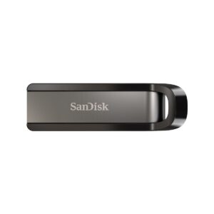 Sandisk Extreme Go Usb 3.2 Drive 256GB